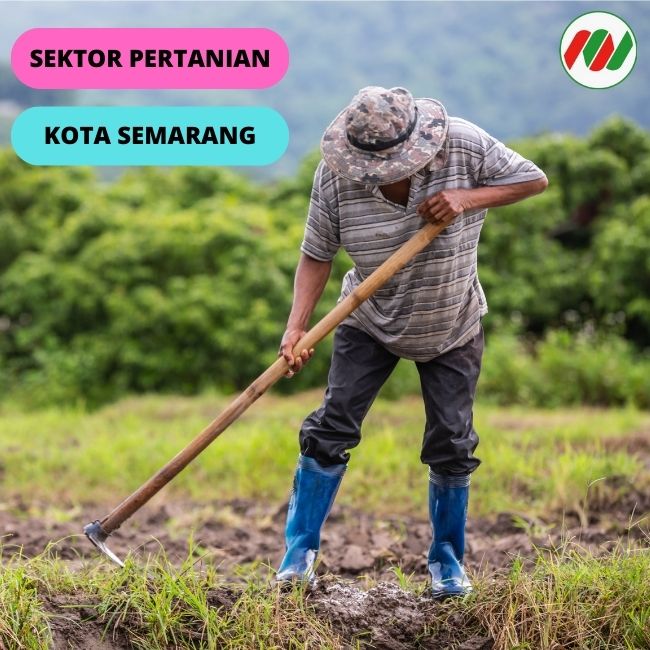 Perkembangan Pertanian Indonesia